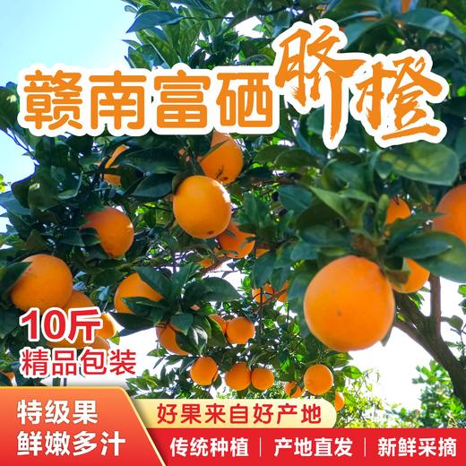 【富硒有机】繁橙鲜生·赣南脐橙精品果10斤/20斤装·九省包邮 商品图0
