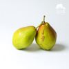 生态红香酥梨 | 合作生产 *Eco-Jade dew pear | Coproduction 商品缩略图4