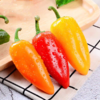 清甜水果椒 商品缩略图0