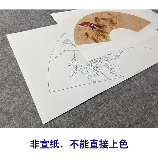【大彩图】张建军工笔画白描底稿扇面小品临摹勾线花鸟线稿A369 商品图2