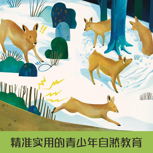 冬天，住在长白山里的日子   4年级正版现货速发|名师推荐|小学生课外阅读四年级 商品图2