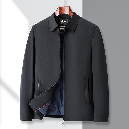 轻奢鹅绒服男士秋冬季新款翻领简约百搭保暖羽绒服男 商品图2