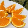 湖北秭归沐兮|橙子上市啦；北纬30度，三峡边上红砂土生长的生态橙子，橙黄肉嫩，幼滑无渣水分足，韵味满满的，非常棒的橙子，重要时刻赶紧囤起来～ 商品缩略图5