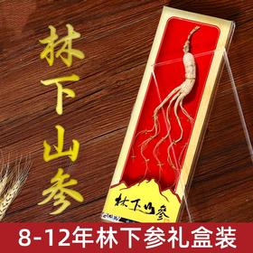 【礼盒装！品质好人参】吉林产地货源长白山人参8-12年林下参年货会销礼品低价林下参伴手礼