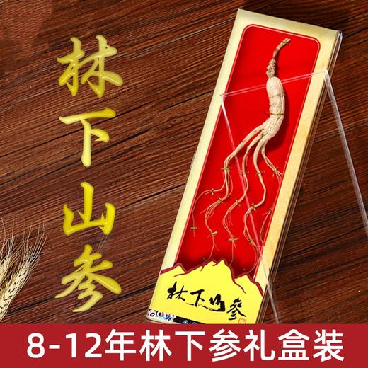 【礼盒装！品质好人参】吉林产地货源长白山人参8-12年林下参年货会销礼品低价林下参伴手礼 商品图0
