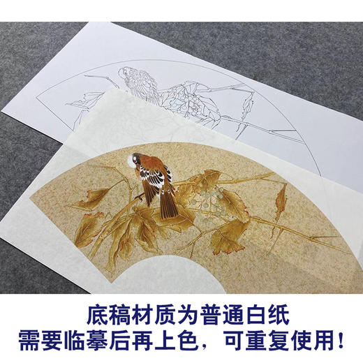 【大彩图】张建军工笔画白描底稿扇面小品临摹勾线花鸟线稿A369 商品图3