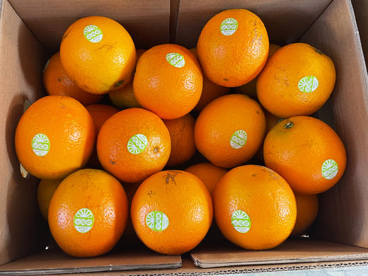 【珍品】云冠橙珍品5kg /件 商品图2