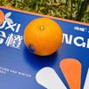 湖北秭归沐兮|橙子上市啦；北纬30度，三峡边上红砂土生长的生态橙子，橙黄肉嫩，幼滑无渣水分足，韵味满满的，非常棒的橙子，重要时刻赶紧囤起来～ 商品缩略图0
