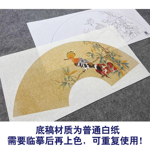 【大彩图】张建军工笔画白描底稿扇面小品《啄木鸟》石榴临摹勾线花鸟线稿A346 商品图3