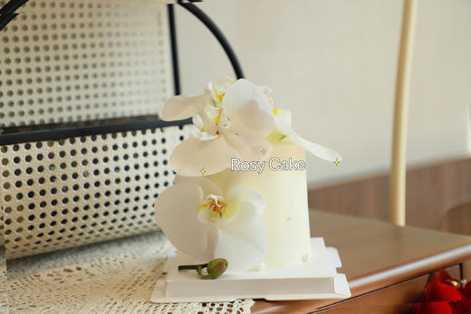 简约蝴蝶兰款 商品图0