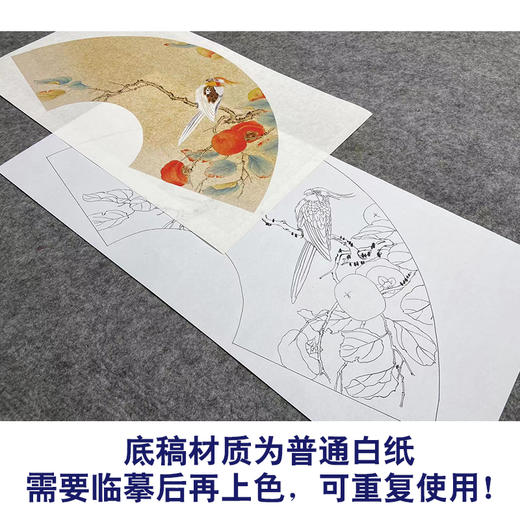 【大彩图】张建军工笔画白描底稿扇面小品《柿子》鹦鹉临摹勾线花鸟线稿A349 商品图3