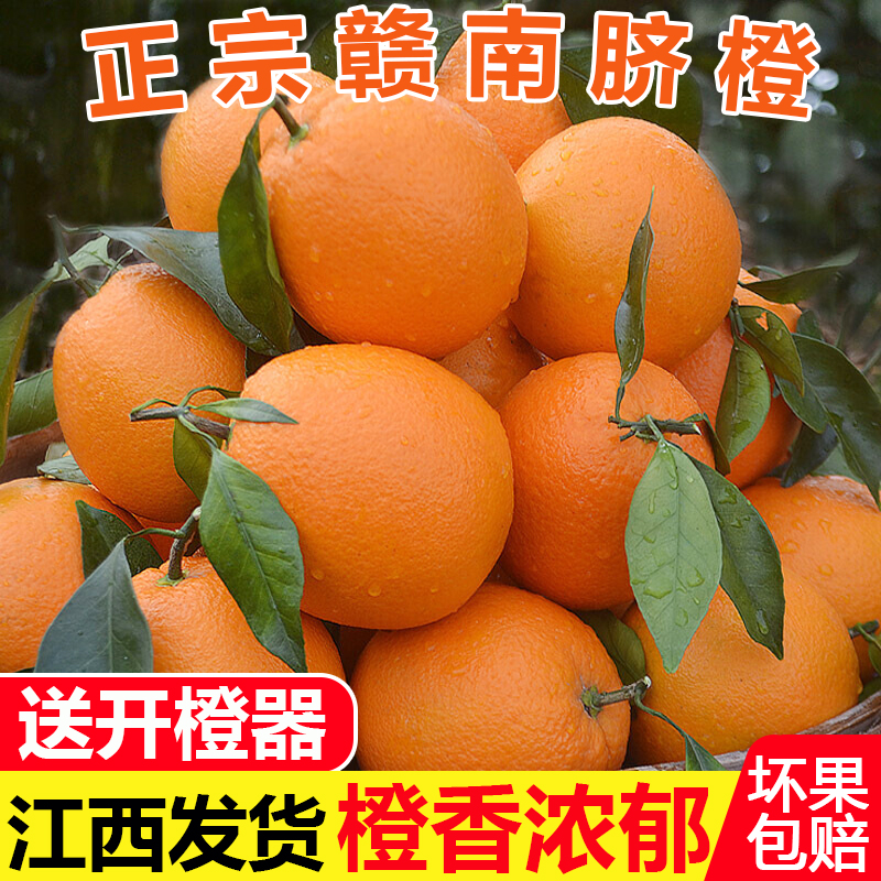 【现摘现发】正宗江西赣南脐橙 九省包邮