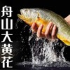 预售 预计12月23日发货 如遇天气回暖发货会另有延迟「自营」 舟山码头直供黄花鱼( 通过放射性安全复检) 商品缩略图1