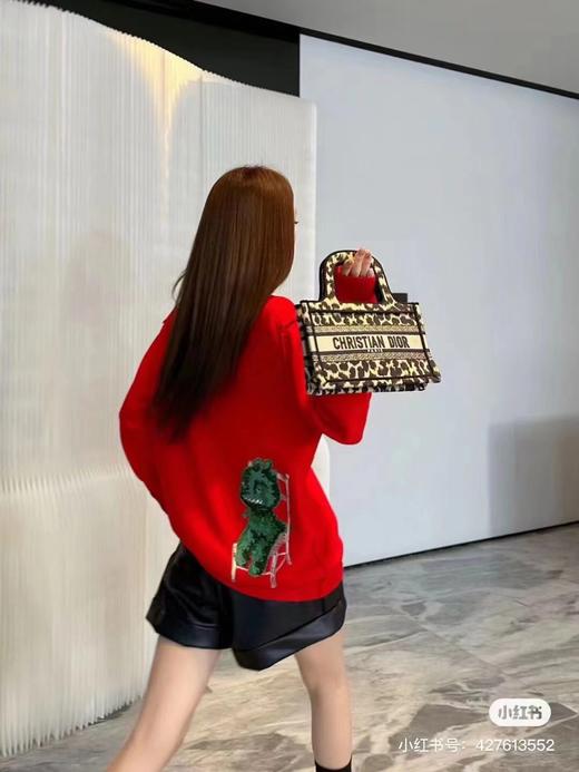 女毛衣2339 商品图3