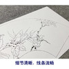 【大彩图】张建军工笔画白描底稿扇面小品红叶临摹勾线花鸟线稿A345 商品缩略图4
