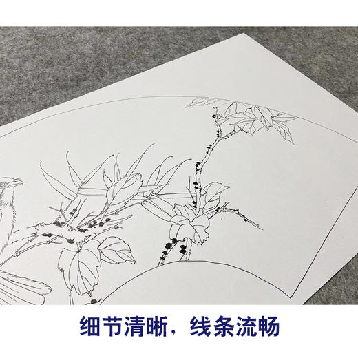 【大彩图】张建军工笔画白描底稿扇面小品红叶临摹勾线花鸟线稿A345 商品图4