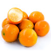 【广西·融安】滑皮金桔 脆皮金桔 融安翠蜜柑橘 当季水果新鲜橘子 商品缩略图5