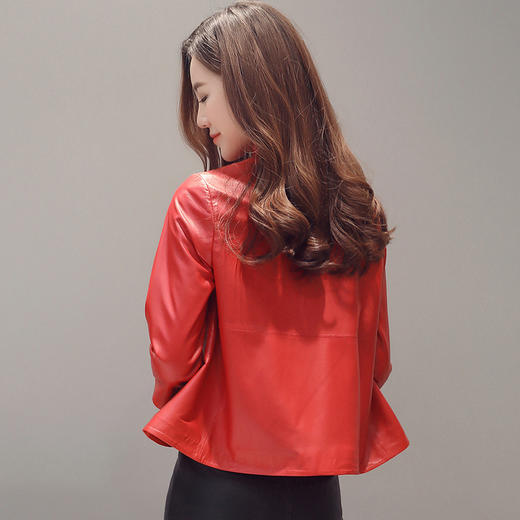 丁摩新品真皮短款皮衣外套女海宁皮衣绵羊皮AL 265 商品图2