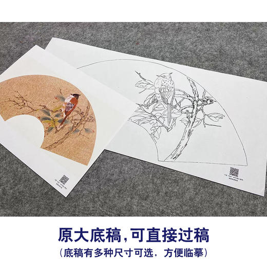 【大彩图】张建军工笔画白描底稿扇面小品临摹勾线花鸟线稿A342 商品图1