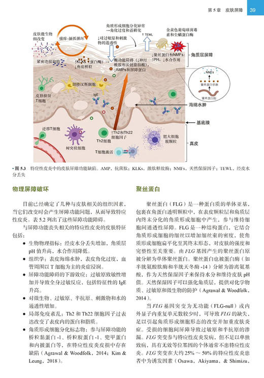 特应性皮炎 由内而外或由外而内 曾跃平主译 病理生理学分析 临床治疗方案制订实用方法 皮肤病学9787565930300北京大学医学出版社 商品图4