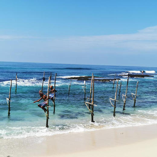 斯里兰卡亲子游学营（5晚7天东航直飞） 商品图0