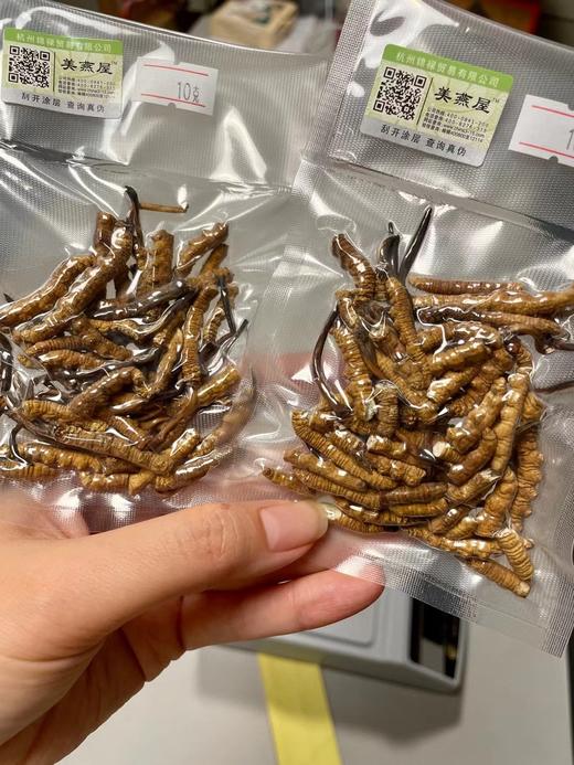 【免疫组合】特大断草10g+2019新会梅江陈皮100g 商品图4