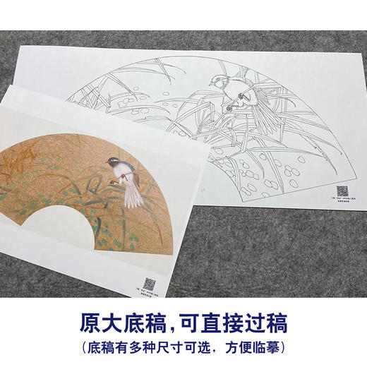 【大彩图】张建军工笔画白描底稿扇面小品临摹勾线花鸟线稿A347 商品图1