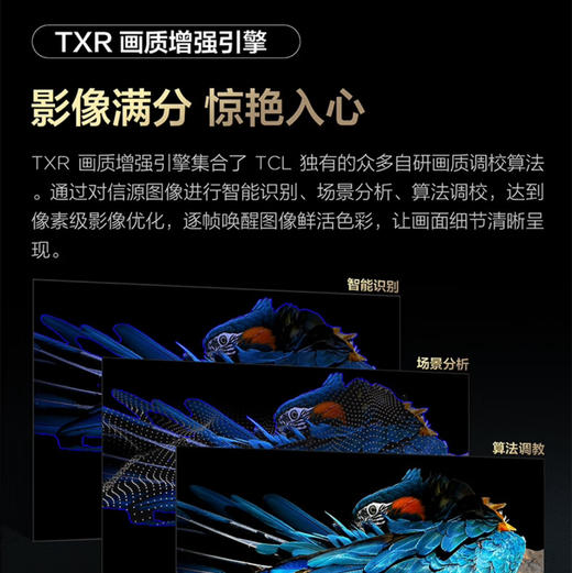 TCL电视 85Q6G 商品图6