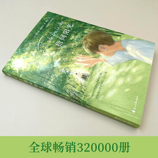 指间阳光   5年级正版现货速发|名师推荐|小学生课外阅读五年级 商品图3