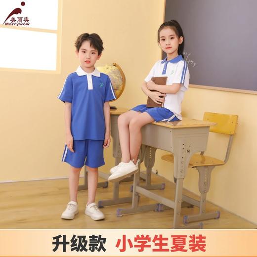【小学生夏装升级款】 深圳教育局高品质校服 小学男女生夏季运动服 速干款 商品图0