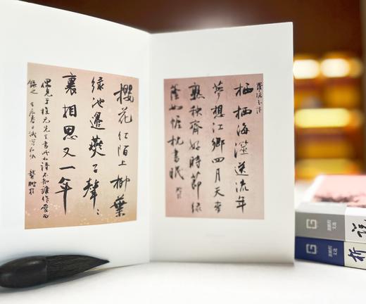 谈艺：学问由来大艰辛 商品图4