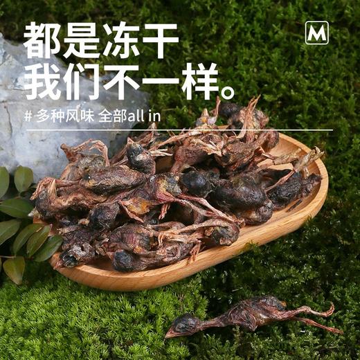 冻干小鹌鹑发腮长肉肉人参猫狗零食40克一袋装！全场满80元包邮 商品图3