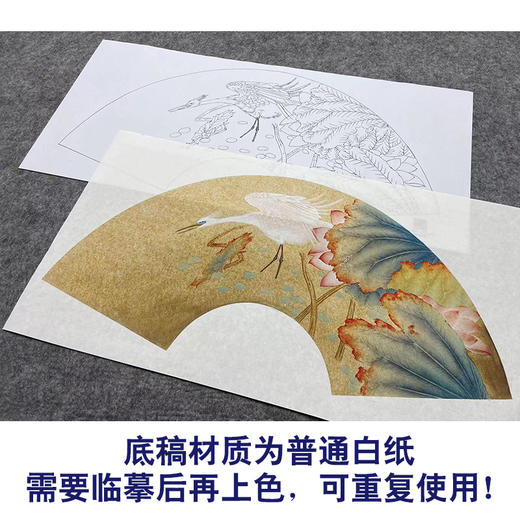 【大彩图】张建军工笔画白描底稿扇面小品《荷花白鹭》临摹勾线花鸟线稿A341 商品图3