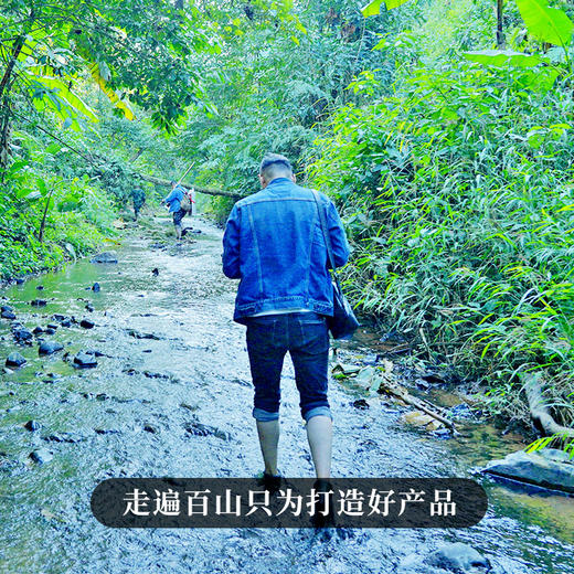 【奇香岭】2023年头春头采易武森林茶普洱茶生茶 香气迷人越陈越“香”200g/饼 拍5发6 商品图8