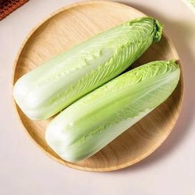 龙牙白菜