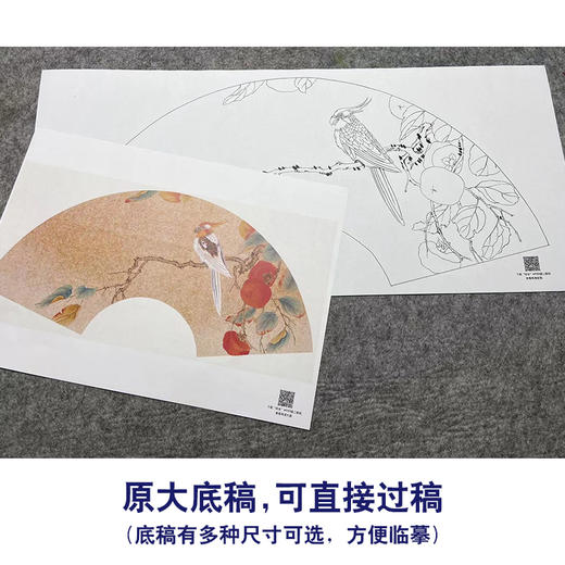 【大彩图】张建军工笔画白描底稿扇面小品《柿子》鹦鹉临摹勾线花鸟线稿A349 商品图1