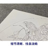 【大彩图】张建军工笔画白描底稿扇面小品临摹勾线花鸟线稿A369 商品缩略图4