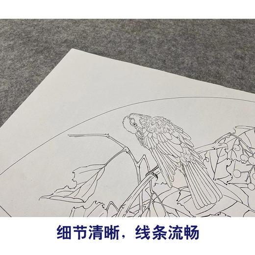 【大彩图】张建军工笔画白描底稿扇面小品临摹勾线花鸟线稿A369 商品图4
