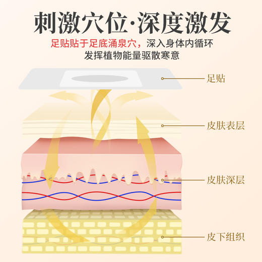 【买2送1】蕲艾足贴 2贴/袋*5 艾草足贴 脚底足底 深层拔湿 商品图6