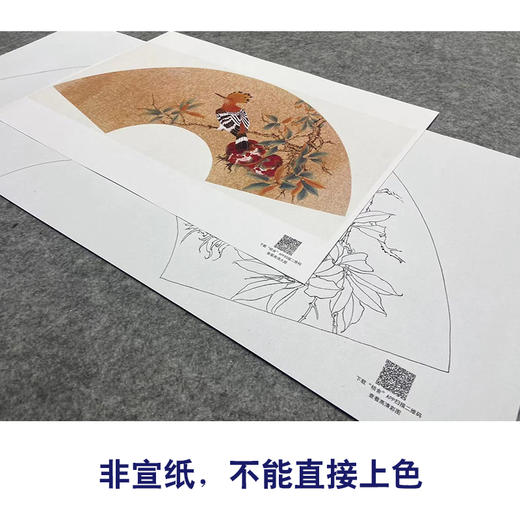 【大彩图】张建军工笔画白描底稿扇面小品《啄木鸟》石榴临摹勾线花鸟线稿A346 商品图2