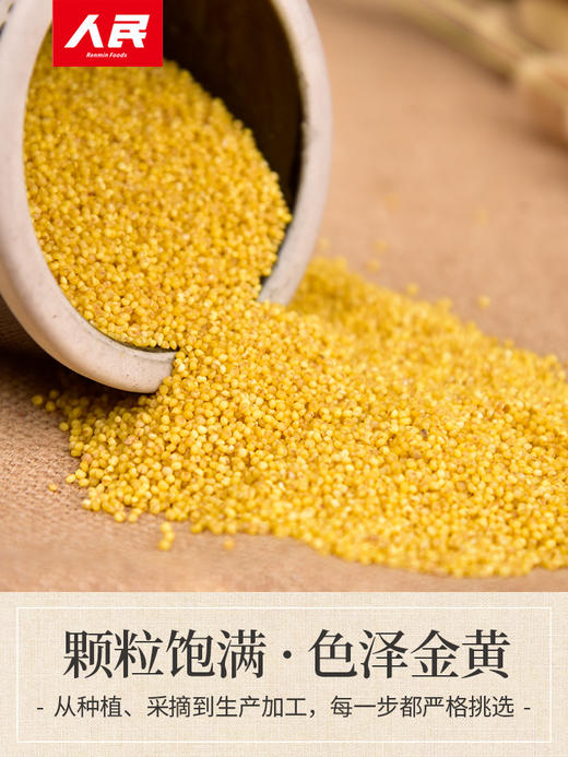 人民食品 米脂油小米880g 商品图2