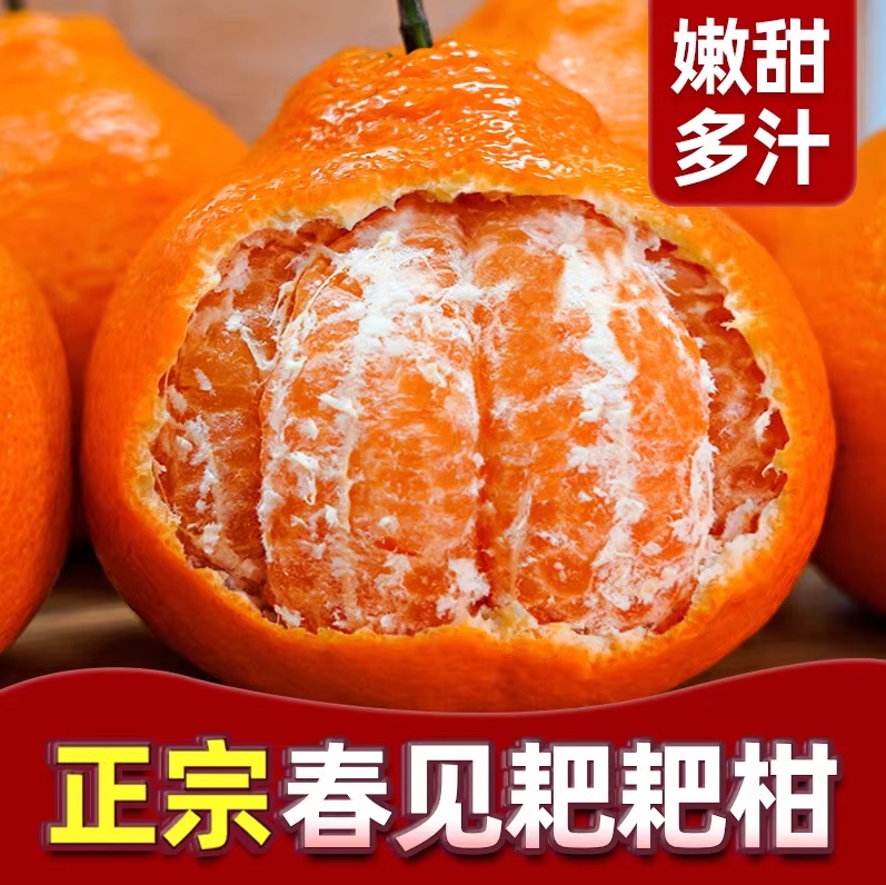 【软嫩多汁】春见·正宗晚采高糖耙耙柑「良枝柑路」