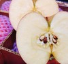陕西红苹果 |水果 商品缩略图1