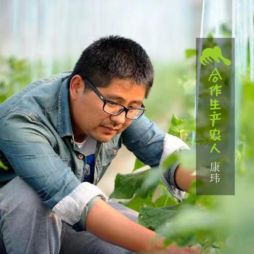 生态荠菜 | 合作生产*Ecological shepherd's purse | Coproduction 商品图1