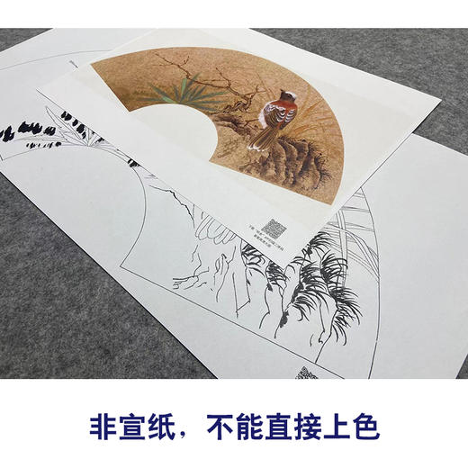【大彩图】张建军工笔画白描底稿扇面小品临摹勾线花鸟线稿A350 商品图2