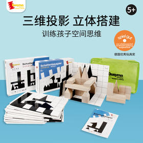 儿童玩具 德国Dusyma空间思维训练礼盒初中高阶5-8岁幼小衔接