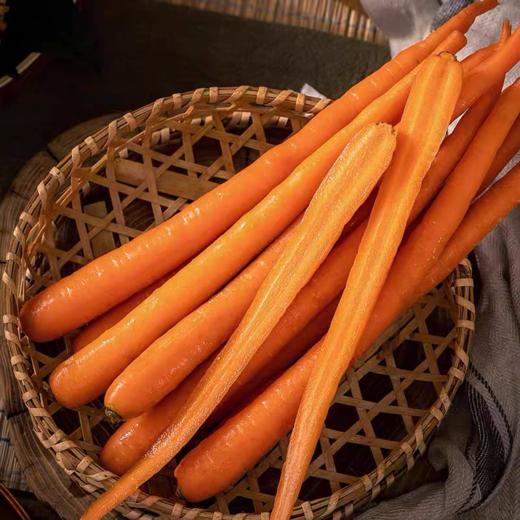 帝皇胡萝卜 商品图0
