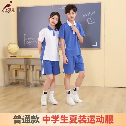 【中学生夏装运动服】 深圳教育局高品质 中学生夏装短袖 短裤 普通款 商品图0