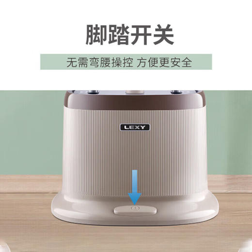 莱克挂烫机GT307家用电熨斗双杆大蒸汽高温杀菌手持挂式两用手持杀菌熨烫板 商品图1