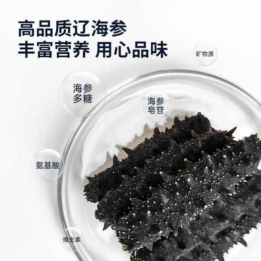 白云山广药大健康 天然海场 精挑优质海参 淡干海参120g（60头）礼盒装 商品图8